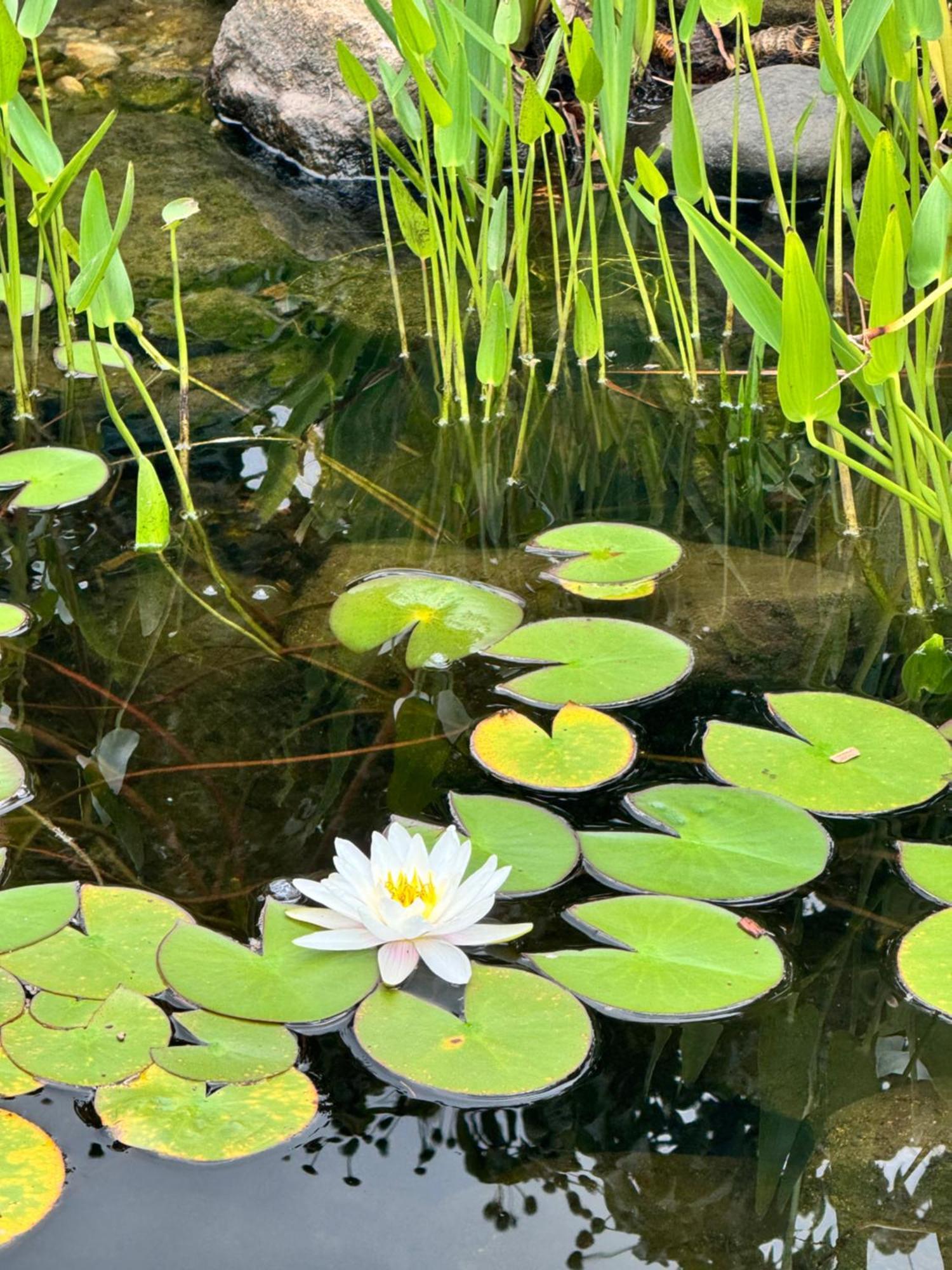 巴恩斯特布尔Lakeside Haven Retreat别墅 外观 照片